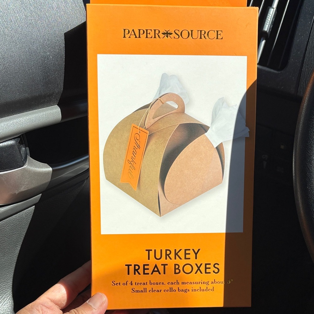 Paper Source Orange and Brown Turkey Treat Boxes